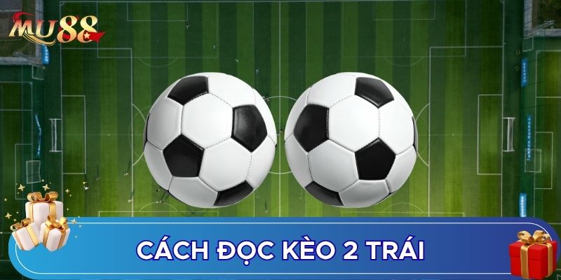 Cách đọc kèo 2 trái