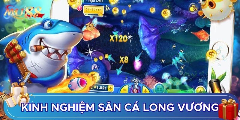 Kinh nghiệm săn cá long vương